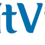 DigitVibes logo